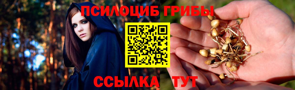 Галлюциногенные грибы мухоморы  Вход с VPN  Усть-Джегута 